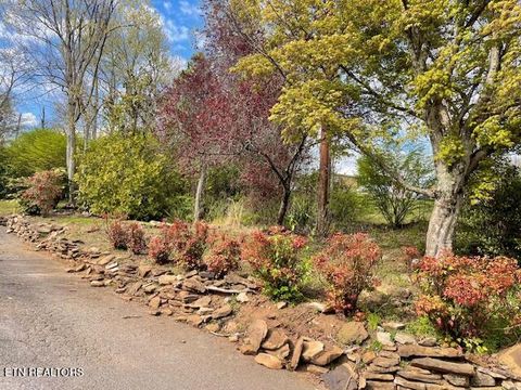 Tiny photo for 111 Abner Cruze Rd, Knoxville, TN 37920 (MLS # 1334745)