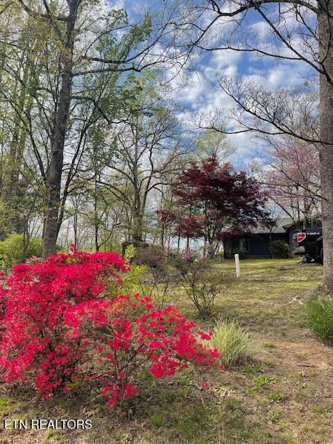 Tiny photo for 111 Abner Cruze Rd, Knoxville, TN 37920 (MLS # 1334745)