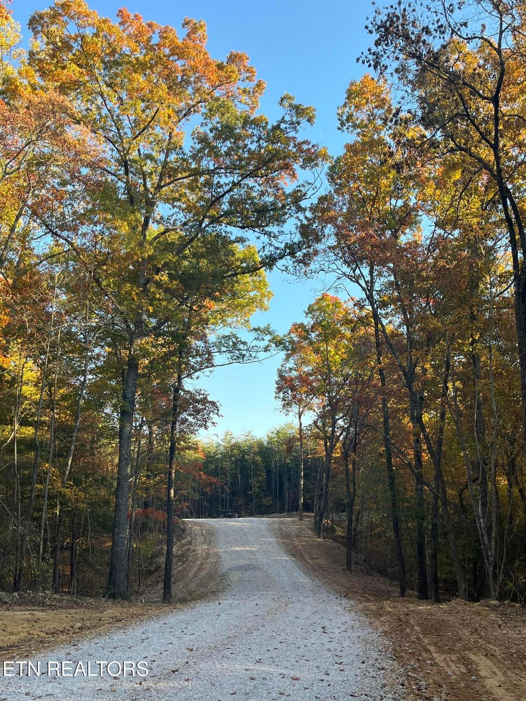 Photo of 111 Cherokee Path, Tellico Plains, TN 37385 (MLS # 1298217)