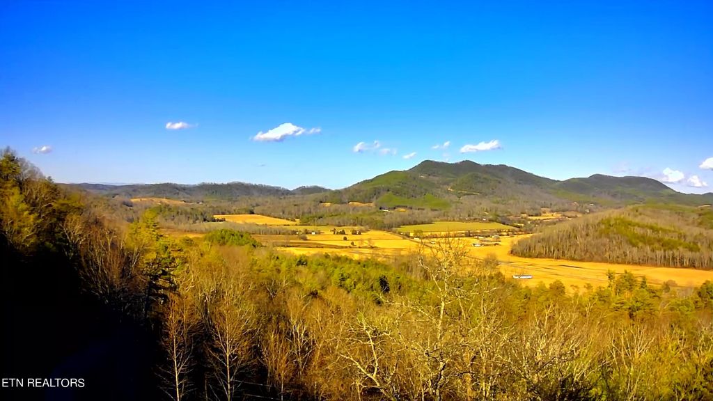 Photo of 110 Bullet Mountain Drive, Tellico Plains, TN 37385 (MLS # 1254387)