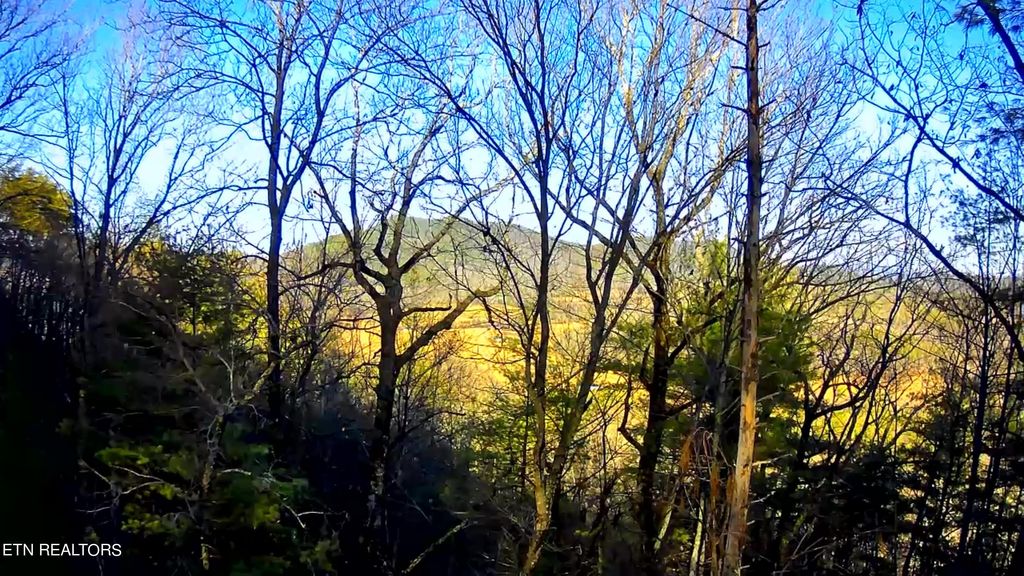 Photo of 110 Bullet Mountain Drive, Tellico Plains, TN 37385 (MLS # 1254387)