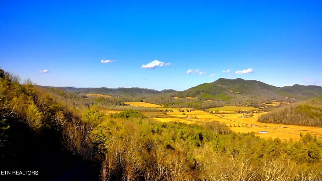 Photo of 110 Bullet Mountain Drive, Tellico Plains, TN 37385 (MLS # 1254387)