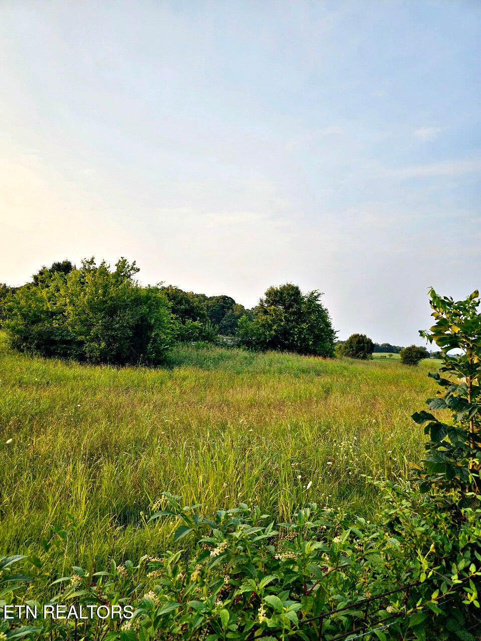 Photo of 3 Wells Spring Rd, Dandridge, TN 37725 (MLS # 1349666)