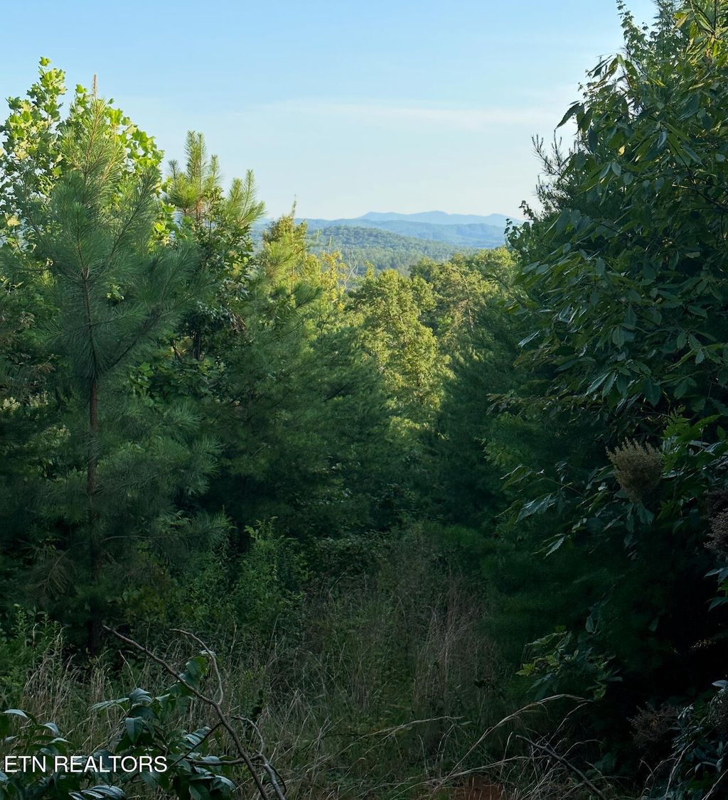 Photo of 351 White Plains Rd, Vonore, TN 37885 (MLS # 1315367)