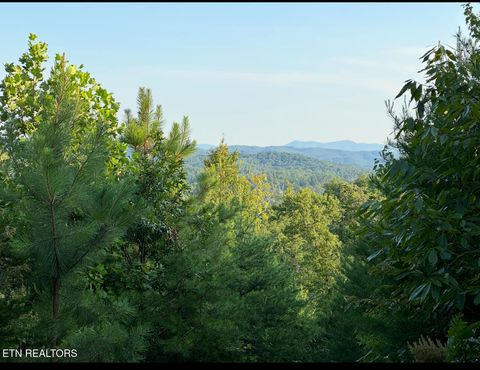 351 White Plains Rd Vonore TN 37885