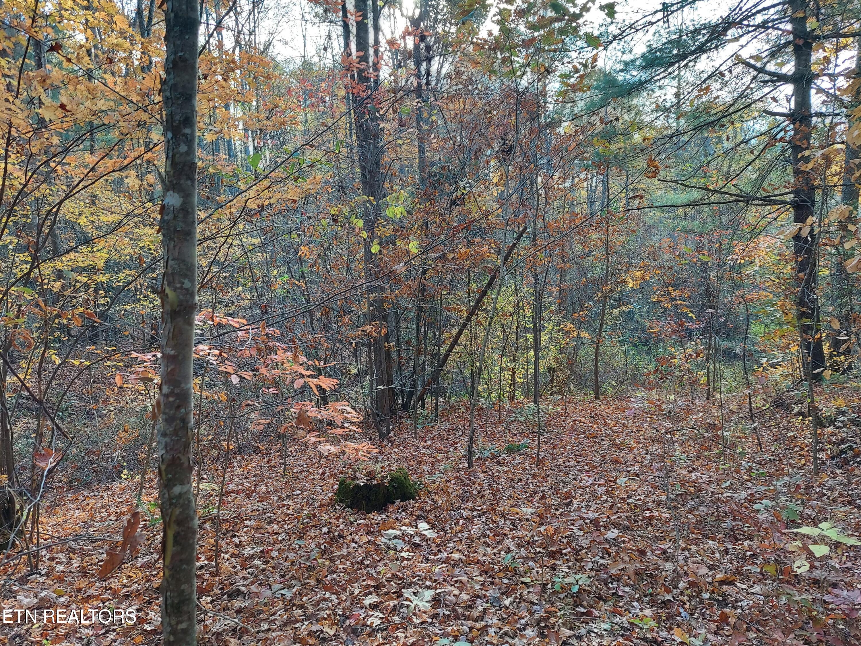 1.76 Acres Sugar Maple Way
