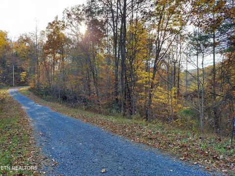 1.76 Acres Sugar Maple Way Del Rio TN 37727