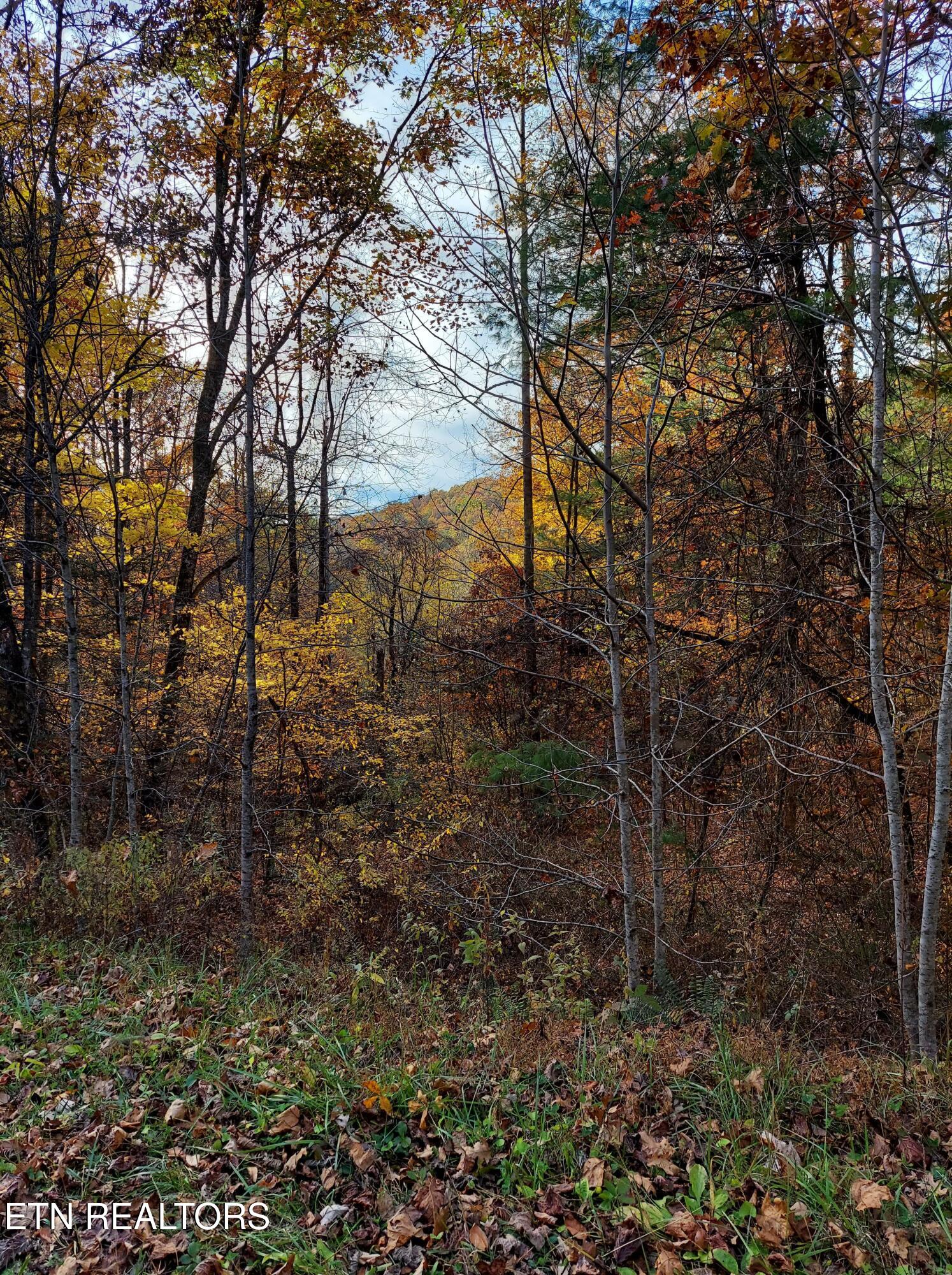 1.76 Acres Sugar Maple Way