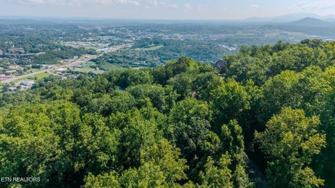 Tiny photo for 3426 Twin City Way #UNIT 55, Pigeon Forge, TN 37863 (MLS # 1350188)