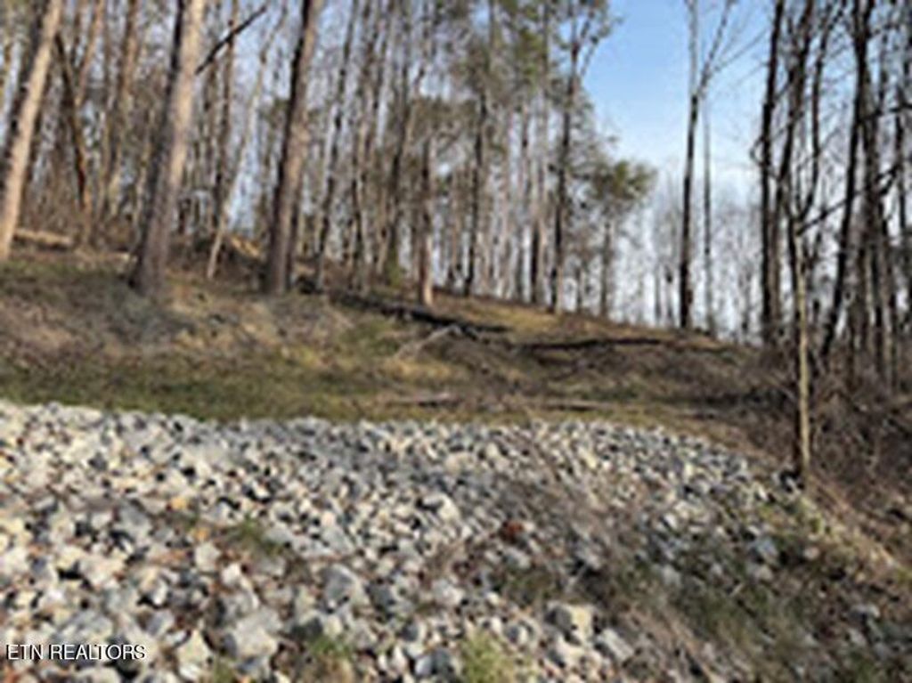 Photo of 11044 Loop Rd, Soddy Daisy, TN 37379 (MLS # 1331783)