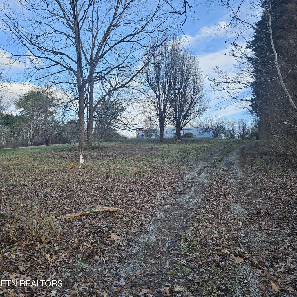 Photo of 1145 Cloyds Church Rd, Greenback, TN 37742 (MLS # 1287523)