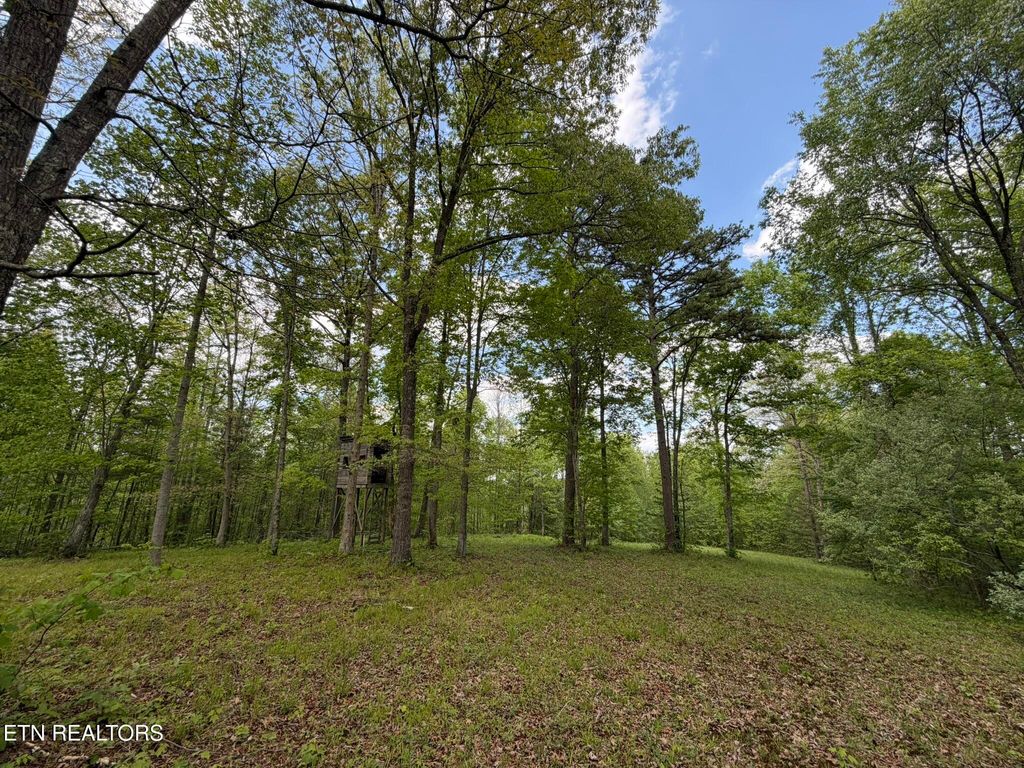 Photo of 0 Scott Hwy, Helenwood, TN 37755 (MLS # 1339558)