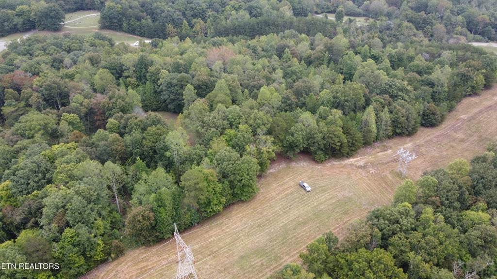 Photo of 0 Scott Hwy, Helenwood, TN 37755 (MLS # 1339558)