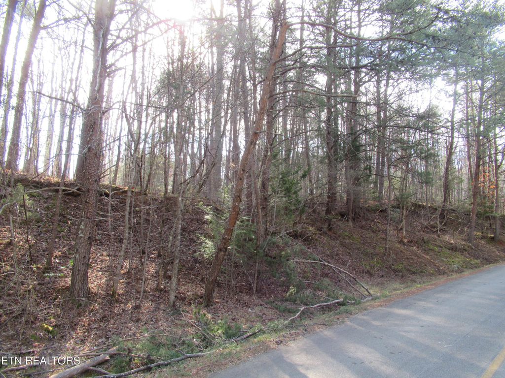 Photo of Tomotley Rd, Maryville, TN 37801 (MLS # 1330084)