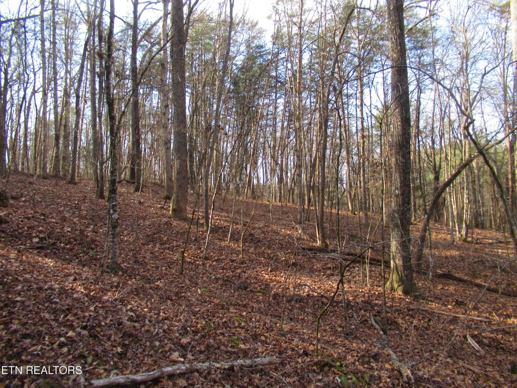 Photo of Tomotley Rd, Maryville, TN 37801 (MLS # 1330084)