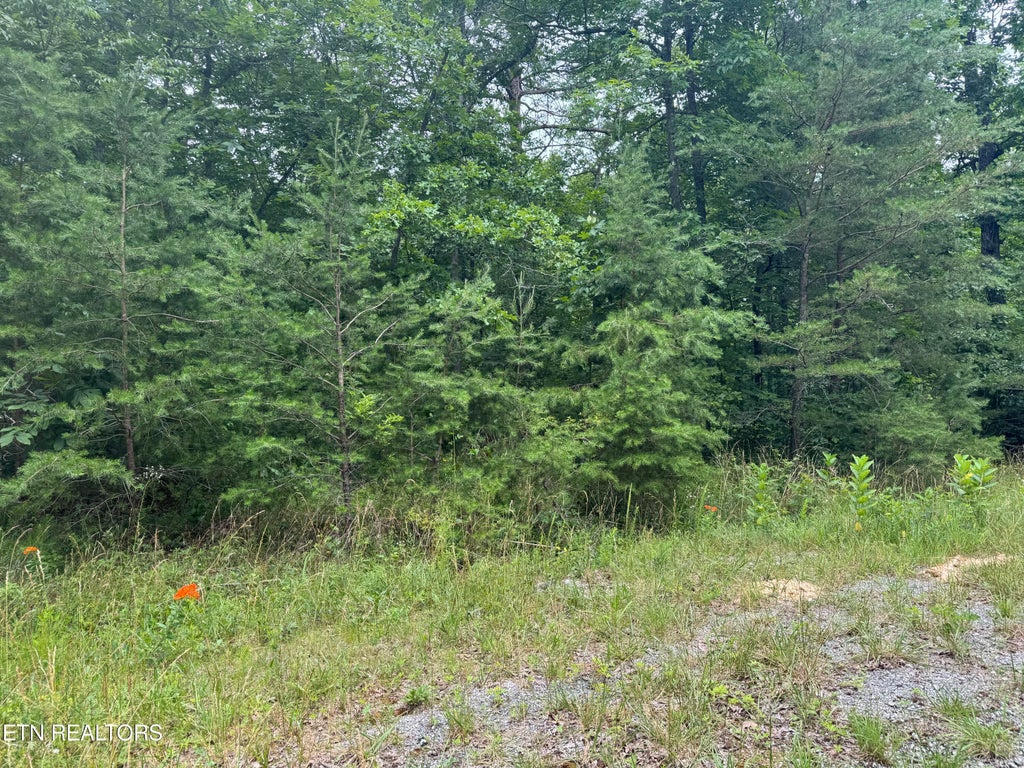 Photo of 8941 Pima Drive, Crossville, TN 38572 (MLS # 1348826)