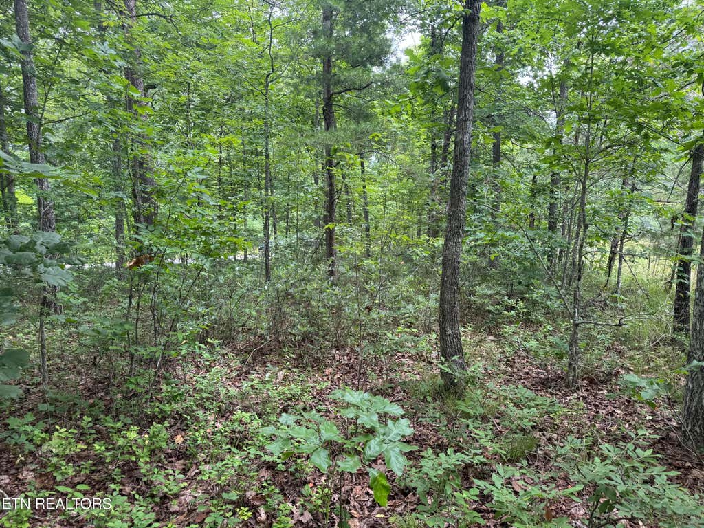 Photo of 8941 Pima Drive, Crossville, TN 38572 (MLS # 1348826)