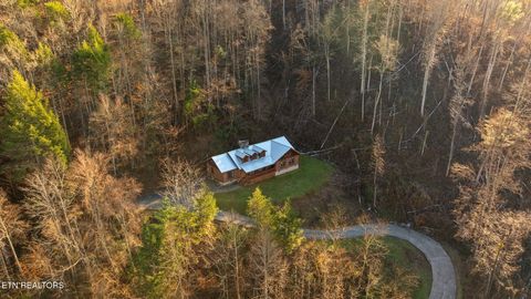Tiny photo for 830 Sleepy Hollow Rd, Gatlinburg, TN 37738 (MLS # 1310836)