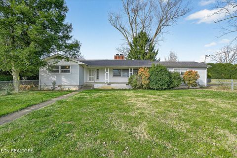 Photo of 203 Cherry St, Pikeville, TN 37367 (MLS # 1324527)