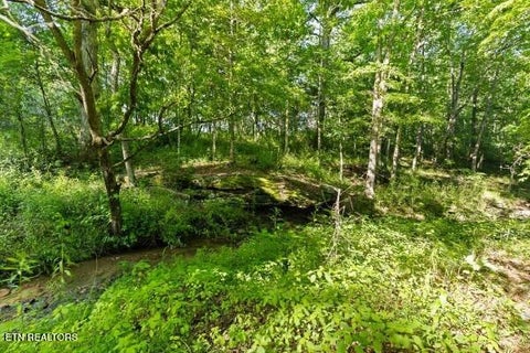 Tiny photo for 2540 Gatewood Ford Rd, Deer Lodge, TN 37726 (MLS # 1350068)
