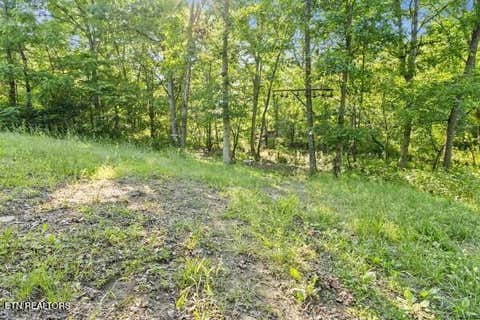 Tiny photo for 2540 Gatewood Ford Rd, Deer Lodge, TN 37726 (MLS # 1350068)