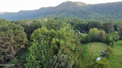 Photo of Dry Valley Rd, Townsend, TN 37882 (MLS # 1317009)