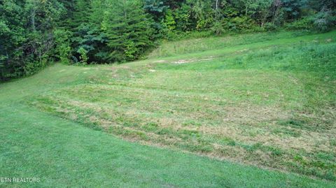 Tiny photo for Dry Valley Rd, Townsend, TN 37882 (MLS # 1317009)