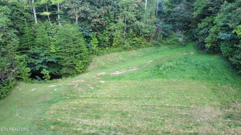 Tiny photo for Dry Valley Rd, Townsend, TN 37882 (MLS # 1317009)