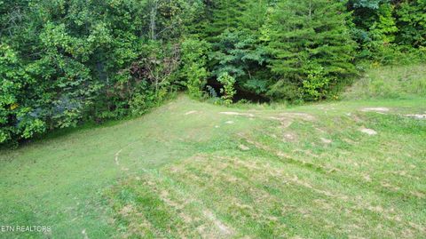 Tiny photo for Dry Valley Rd, Townsend, TN 37882 (MLS # 1317009)