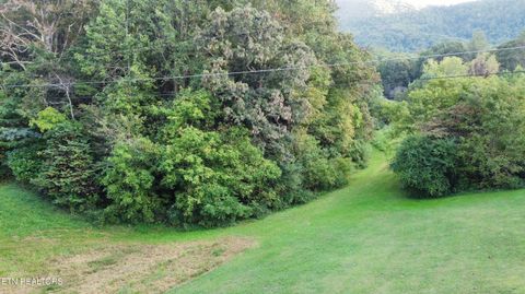 Tiny photo for Dry Valley Rd, Townsend, TN 37882 (MLS # 1317009)