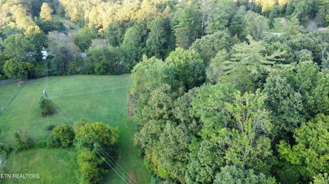 Tiny photo for Dry Valley Rd, Townsend, TN 37882 (MLS # 1317009)