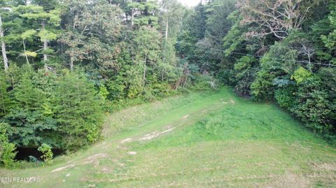Tiny photo for Dry Valley Rd, Townsend, TN 37882 (MLS # 1317009)
