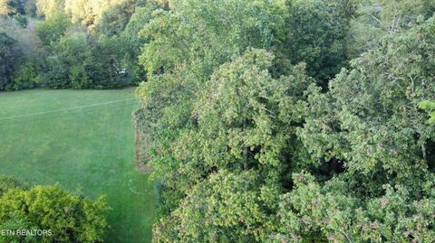 Tiny photo for Dry Valley Rd, Townsend, TN 37882 (MLS # 1317009)