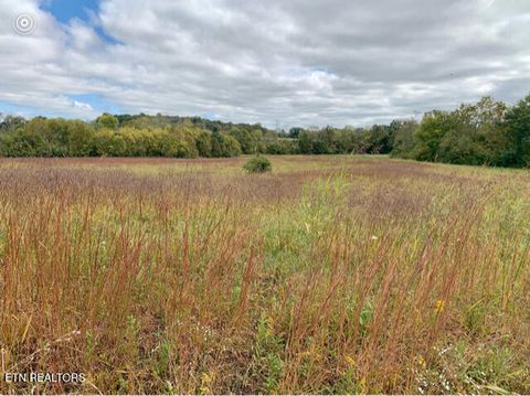 Photo of 724 Blue Water Drive, Cookeville, TN 38506 (MLS # 1329691)