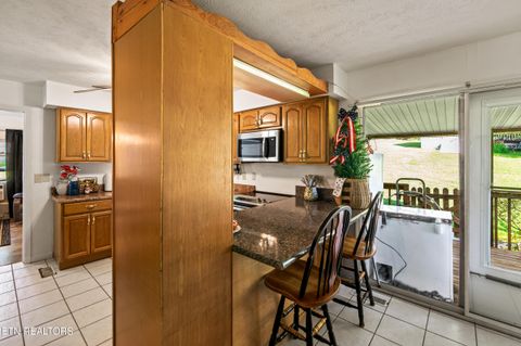 Tiny photo for 310 Hollifield Drive, Jacksboro, TN 37757 (MLS # 1343989)