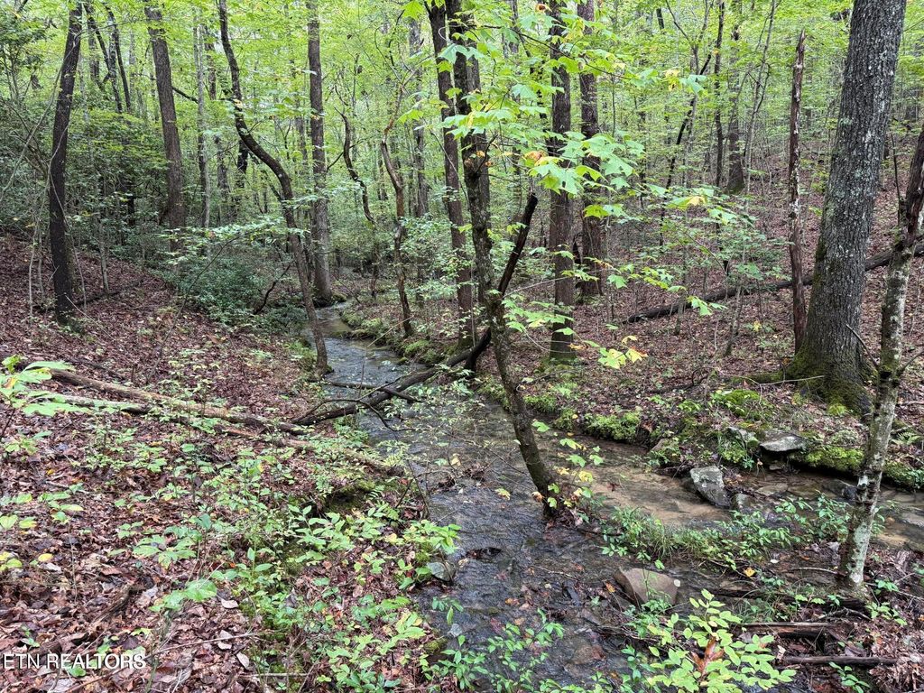 Photo of White Oak Rd, Monterey, TN 38574 (MLS # 1329069)