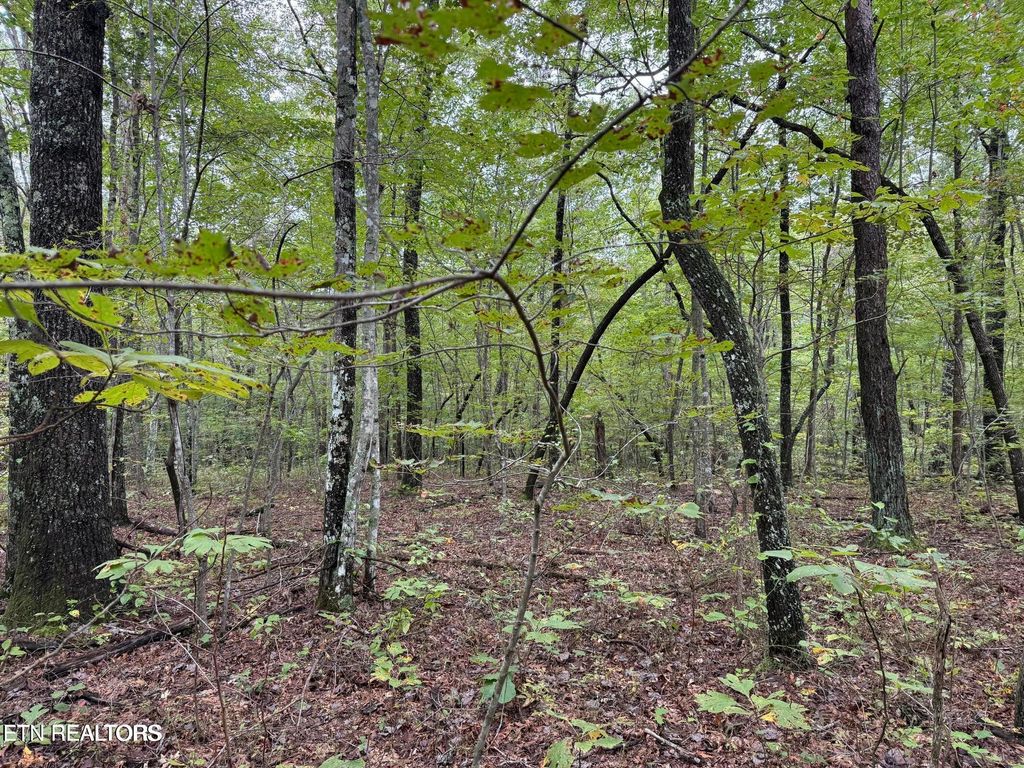 Photo of White Oak Rd, Monterey, TN 38574 (MLS # 1329069)