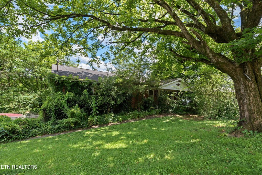 Photo of 403 Hickory St, Clinton, TN 37716 (MLS # 1307772)