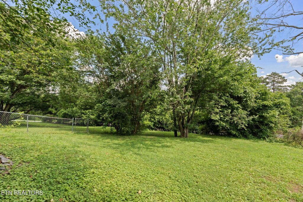 Photo of 403 Hickory St, Clinton, TN 37716 (MLS # 1307772)