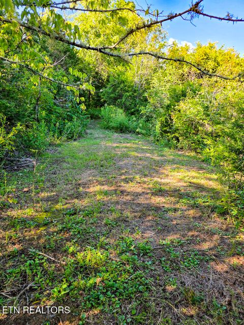 Tiny photo for 2534 Muddy Hollow Rd, Dandridge, TN 37725 (MLS # 1318091)