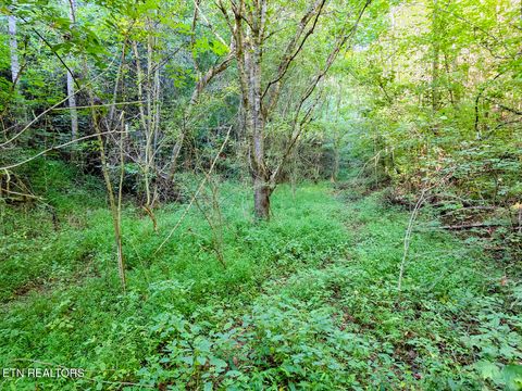 Tiny photo for 2534 Muddy Hollow Rd, Dandridge, TN 37725 (MLS # 1318091)