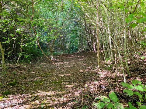 Tiny photo for 2534 Muddy Hollow Rd, Dandridge, TN 37725 (MLS # 1318091)