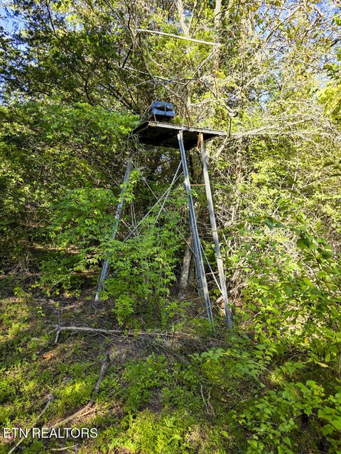 Tiny photo for 2534 Muddy Hollow Rd, Dandridge, TN 37725 (MLS # 1318091)