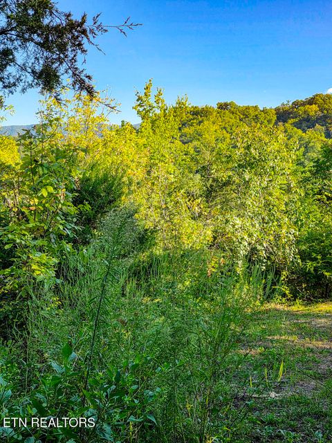Tiny photo for 2534 Muddy Hollow Rd, Dandridge, TN 37725 (MLS # 1318091)