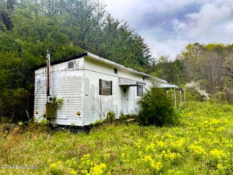 Tiny photo for 2534 Muddy Hollow Rd, Dandridge, TN 37725 (MLS # 1318091)