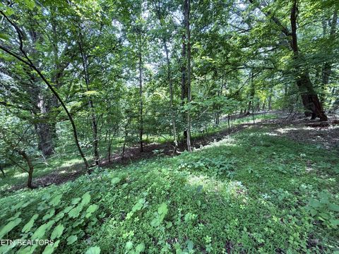 5.74 acres Bailey Cemetary Rd Tazewell TN 37879