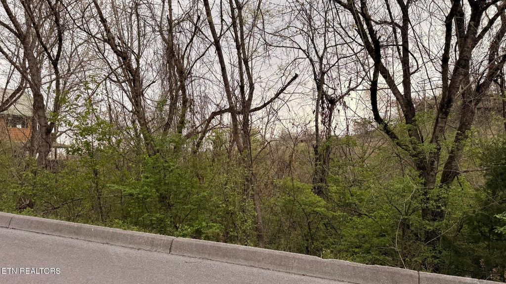 Photo of 4 Hideaway Ridge Circle, Sevierville, TN 37862 (MLS # 1334503)