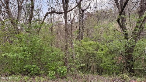Tiny photo for 4 Hideaway Ridge Circle, Sevierville, TN 37862 (MLS # 1334503)
