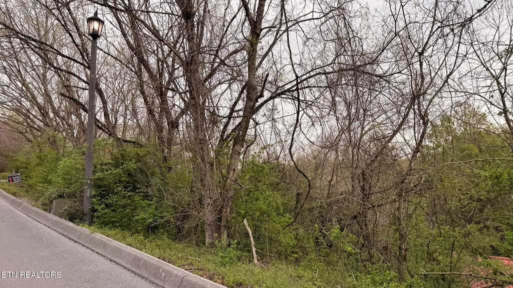 Photo of 4 Hideaway Ridge Circle, Sevierville, TN 37862 (MLS # 1334503)