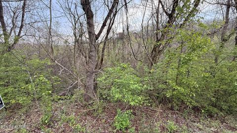 Tiny photo for 4 Hideaway Ridge Circle, Sevierville, TN 37862 (MLS # 1334503)